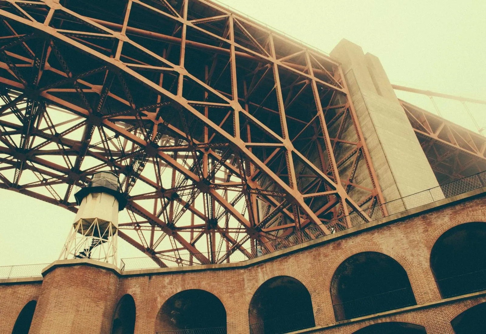 Summer Rooftop — photograph 2